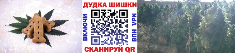 darknet состав  Арсеньев  Печенье с ТГК марихуана 