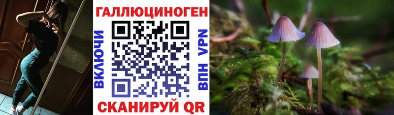 Галлюциногенные грибы GOLDEN TEACHER  кракен онион  Арсеньев  закладка 