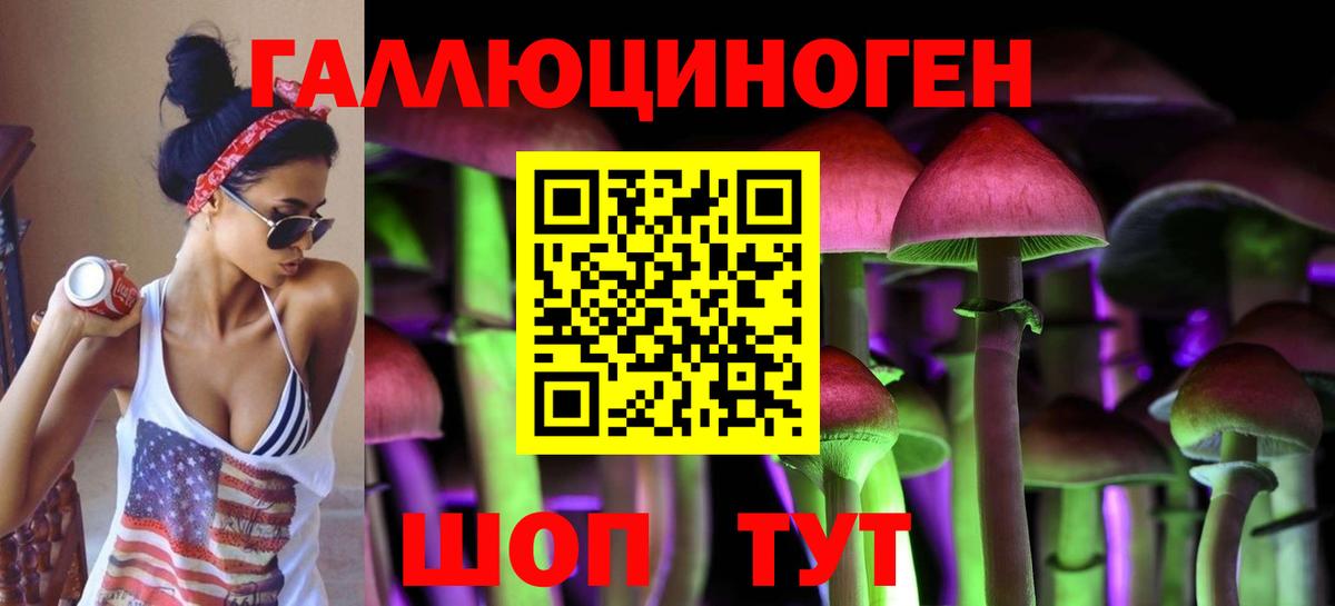 Арсеньев  Галлюциногенные грибы GOLDEN TEACHER  Псилоцибиновые грибы Psilocybine cubensis  Вход с VPN 